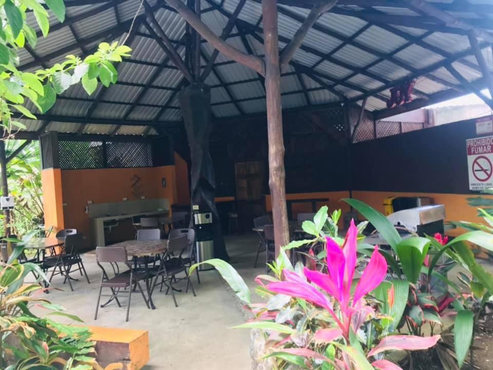 Aunty Arenal Lodge La Fortuna Exteriér fotografie